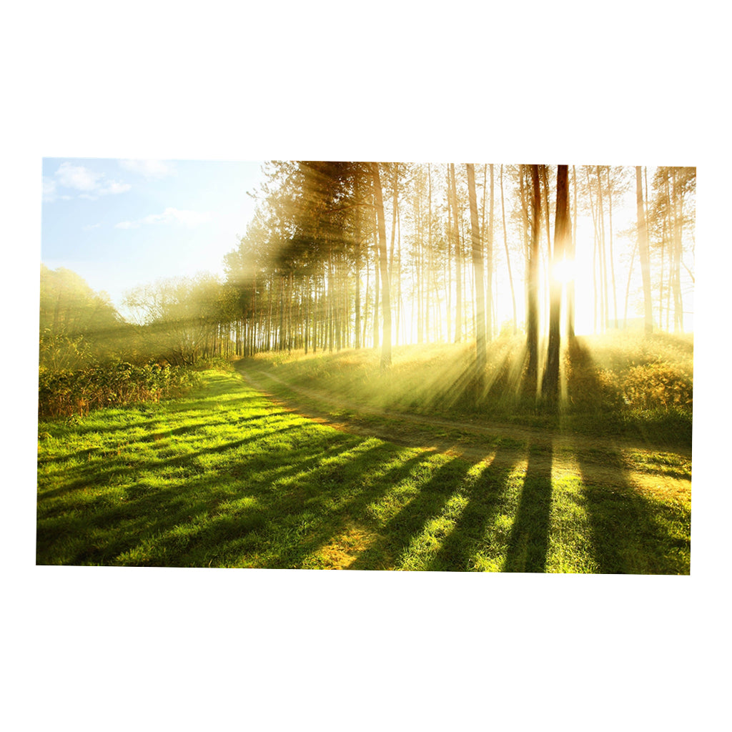 3D Waterproof Tapestries Wall Hanging Tapestry For Indoor Outdoor Usage Q