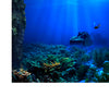 Fish Tank Single-sided Adhesive Background Sticker Marine 122x46cm