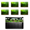 PVC Aquarium Background Poster,Fish Tank Plants Landscape Waterproof 61x30cm