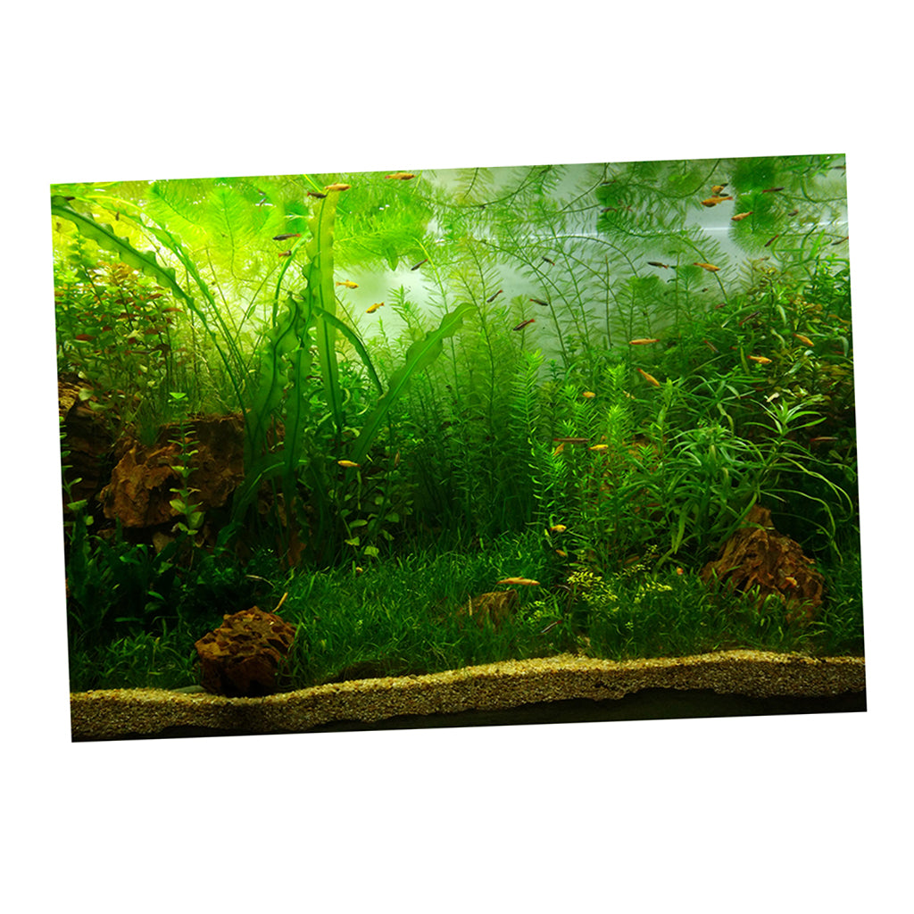 PVC Aquarium Background Poster,Fish Tank Plants Landscape Waterproof 61x30cm