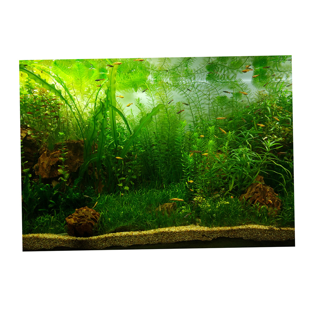 PVC Aquarium Background Poster,Fish Tank Plants Landscape Waterproof 61x30cm