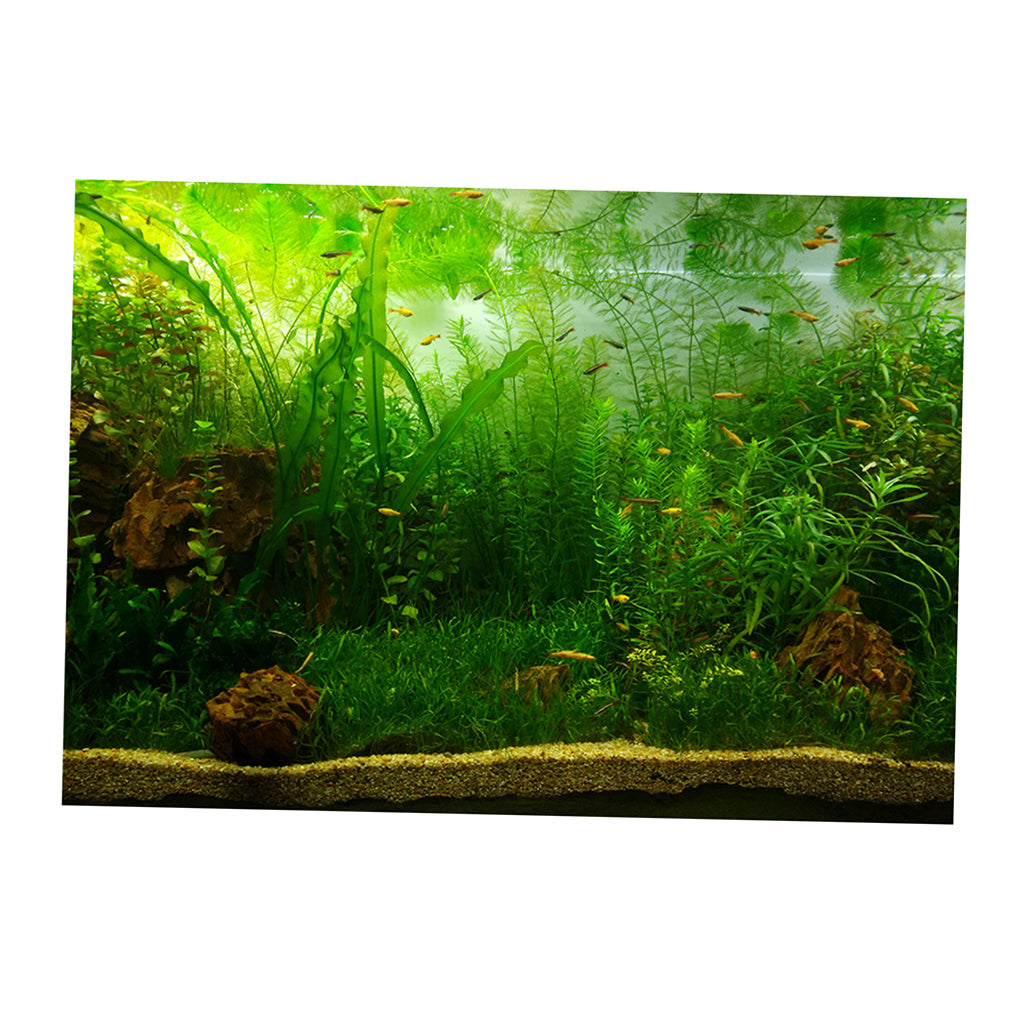 PVC Aquarium Background Poster,Fish Tank Plants Landscape Waterproof 61x30cm