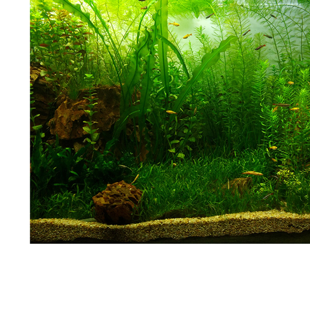 PVC Aquarium Background Poster,Fish Tank Plants Landscape Waterproof 61x30cm