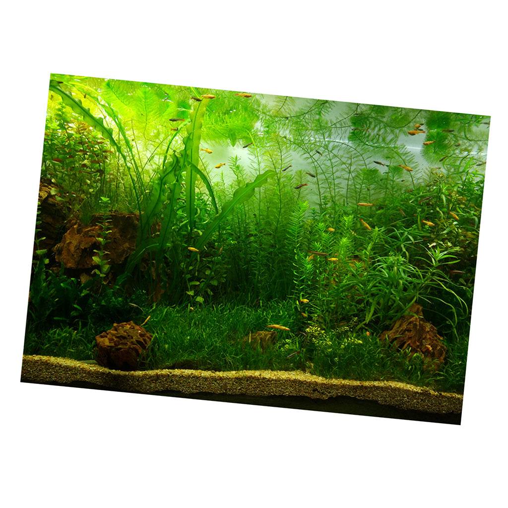 PVC Aquarium Background Poster,Fish Tank Plants Landscape Waterproof 61x30cm