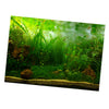 PVC Aquarium Background Poster,Fish Tank Plants Landscape Waterproof 61x30cm