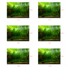 PVC Aquarium Background Poster,Fish Tank Plants Landscape Waterproof 61x30cm