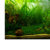 PVC Aquarium Background Poster,Fish Tank Plants Landscape Waterproof 61x41cm