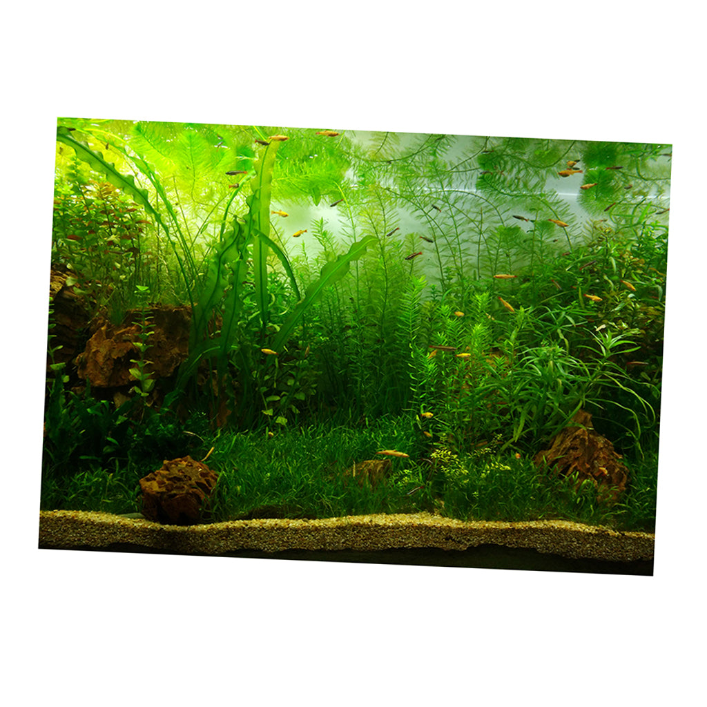 PVC Aquarium Background Poster,Fish Tank Plants Landscape Waterproof 61x41cm