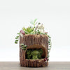 Resin Flowerpot Creative Succulent Planter Home Decoration Three green frogs