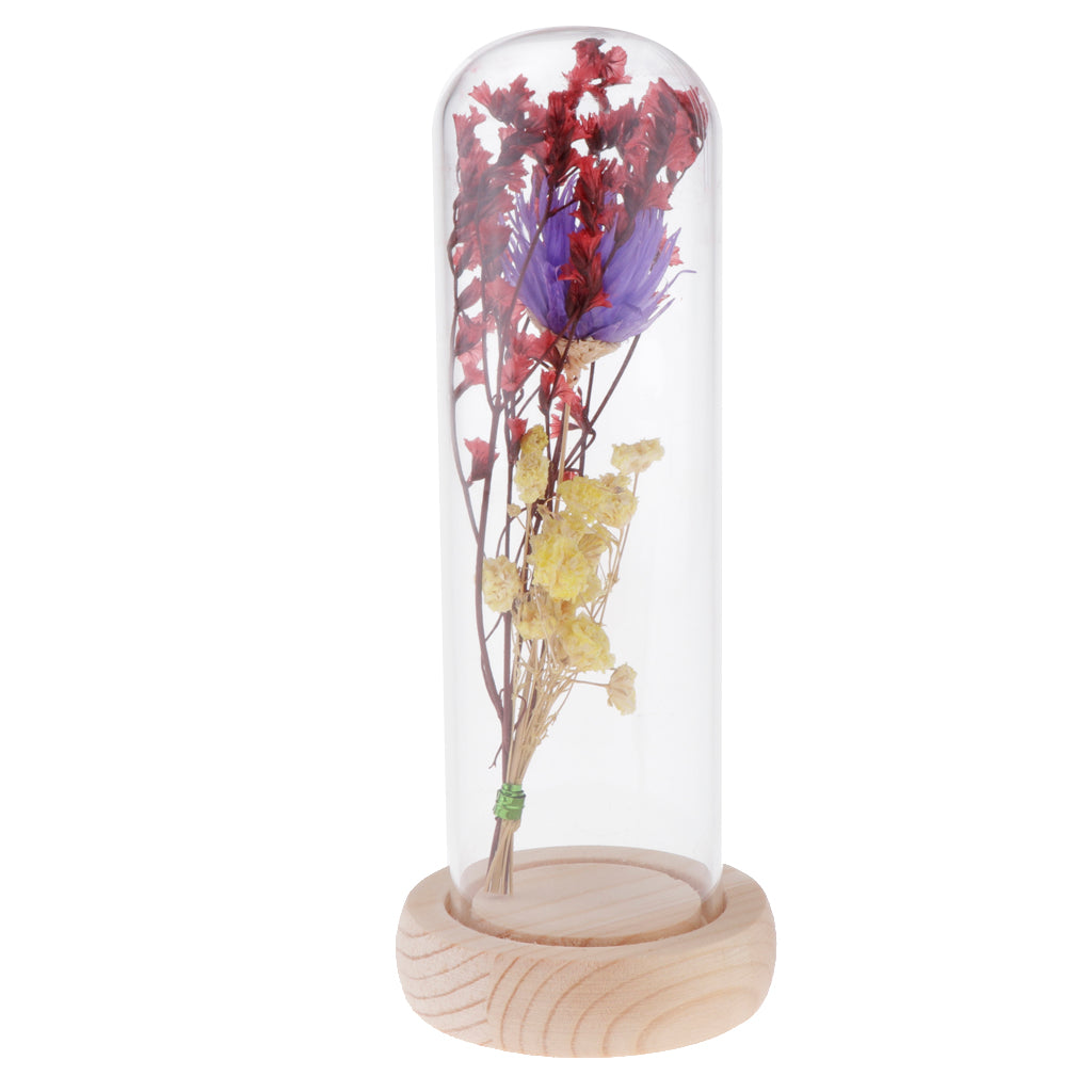 Glass Display Jar Dome Flower Immortal Preservation Vase Purple + Yellow