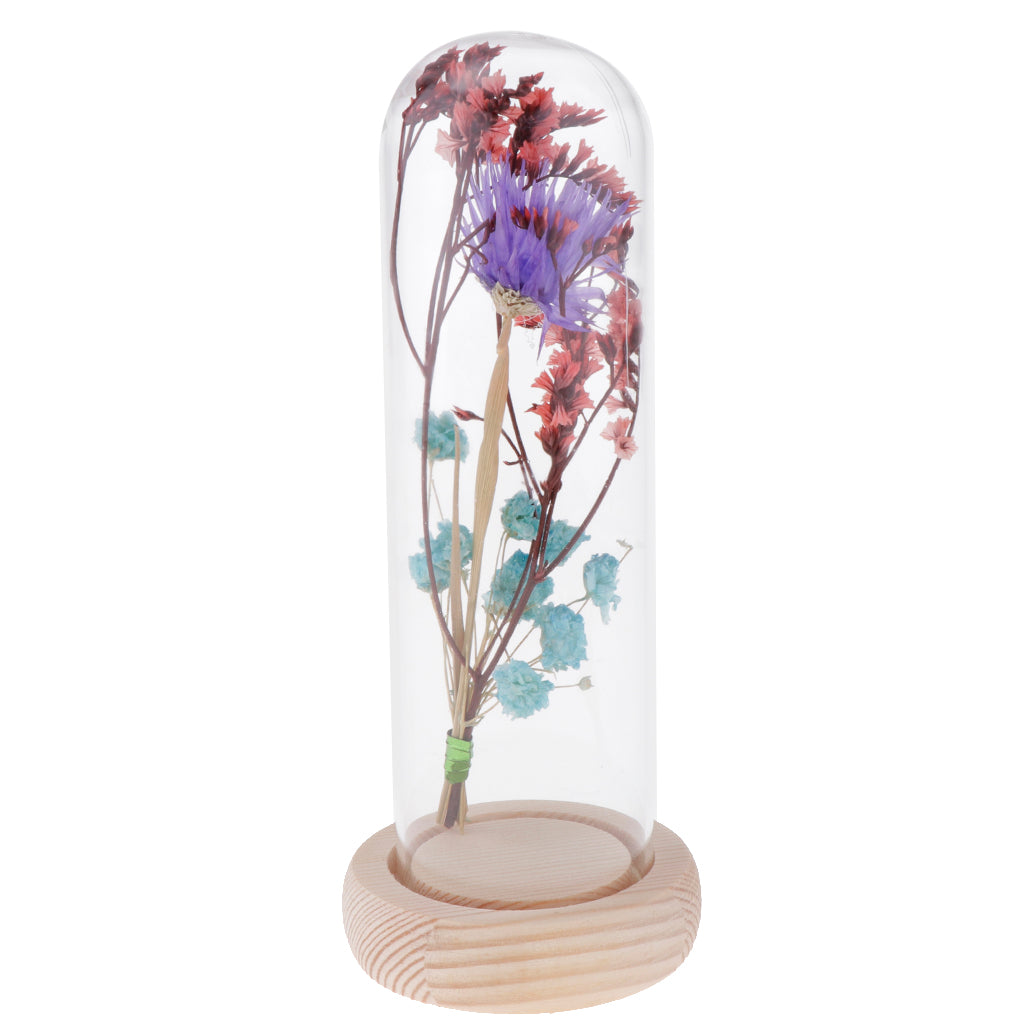 Glass Display Jar Dome Flower Immortal Preservation Vase Purple + Light Blue