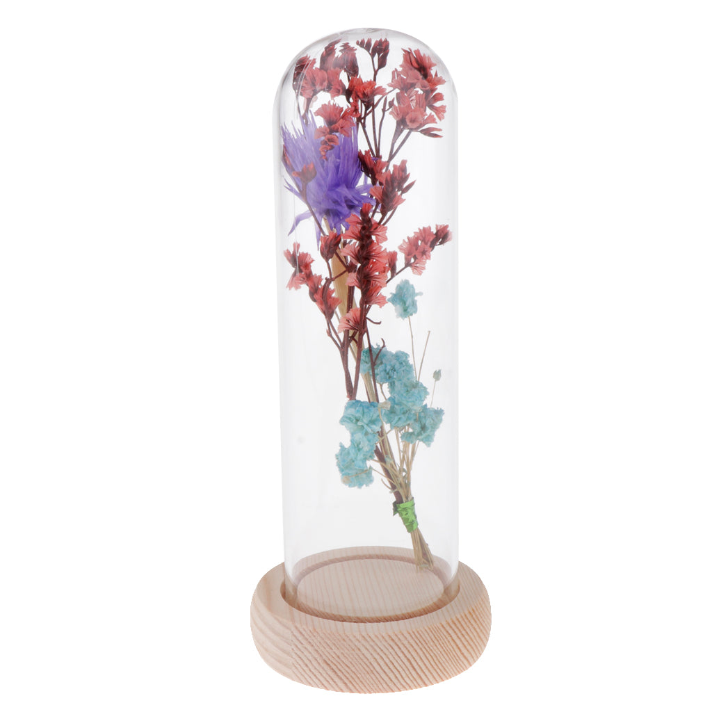 Glass Display Jar Dome Flower Immortal Preservation Vase Purple + Light Blue