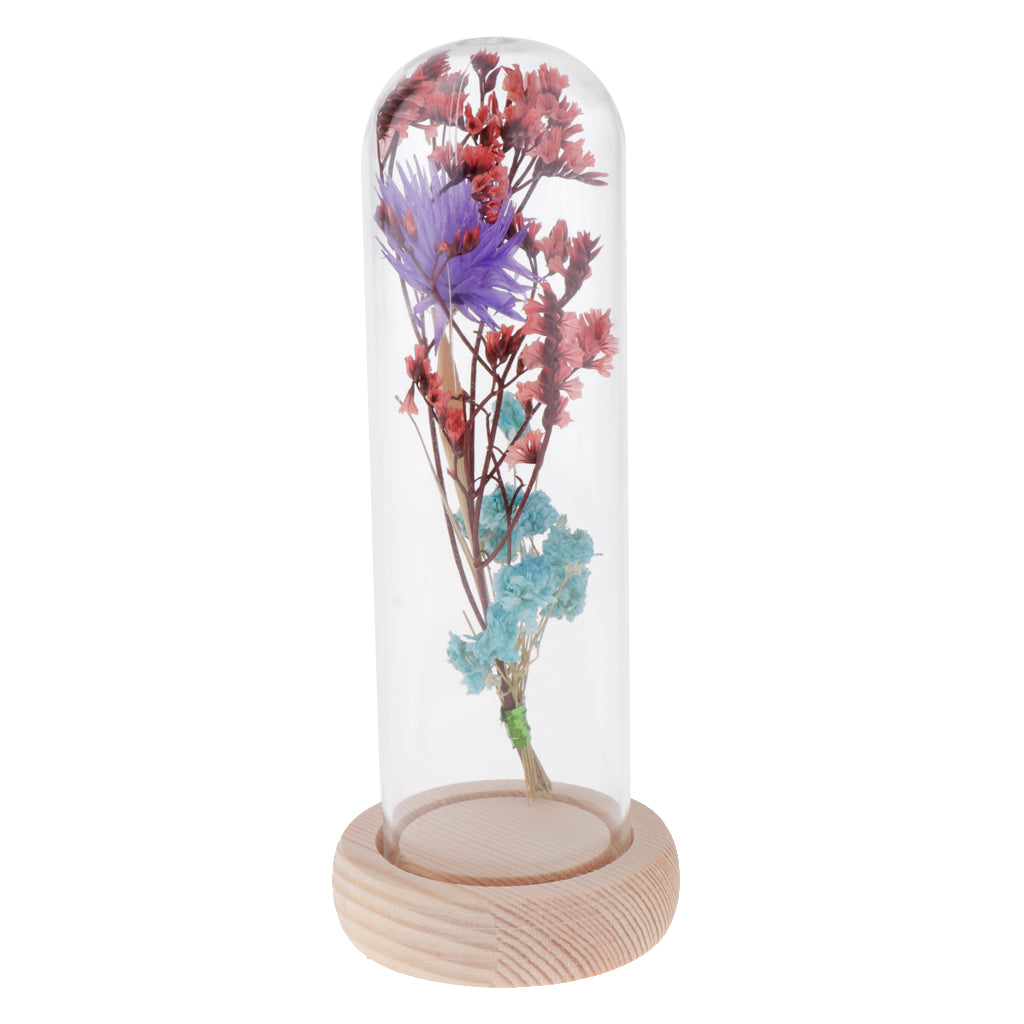 Glass Display Jar Dome Flower Immortal Preservation Vase Purple + Light Blue