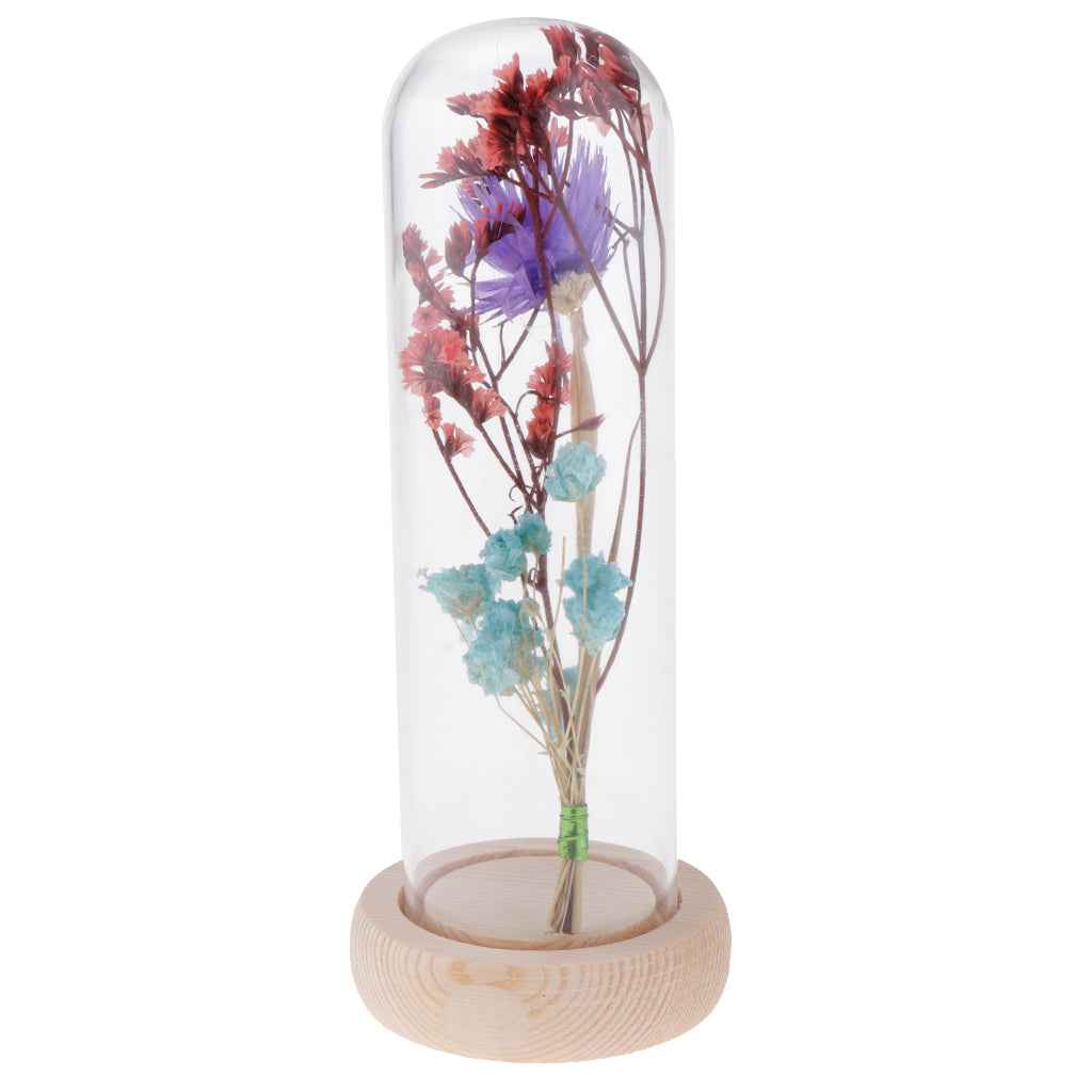 Glass Display Jar Dome Flower Immortal Preservation Vase Purple + Light Blue