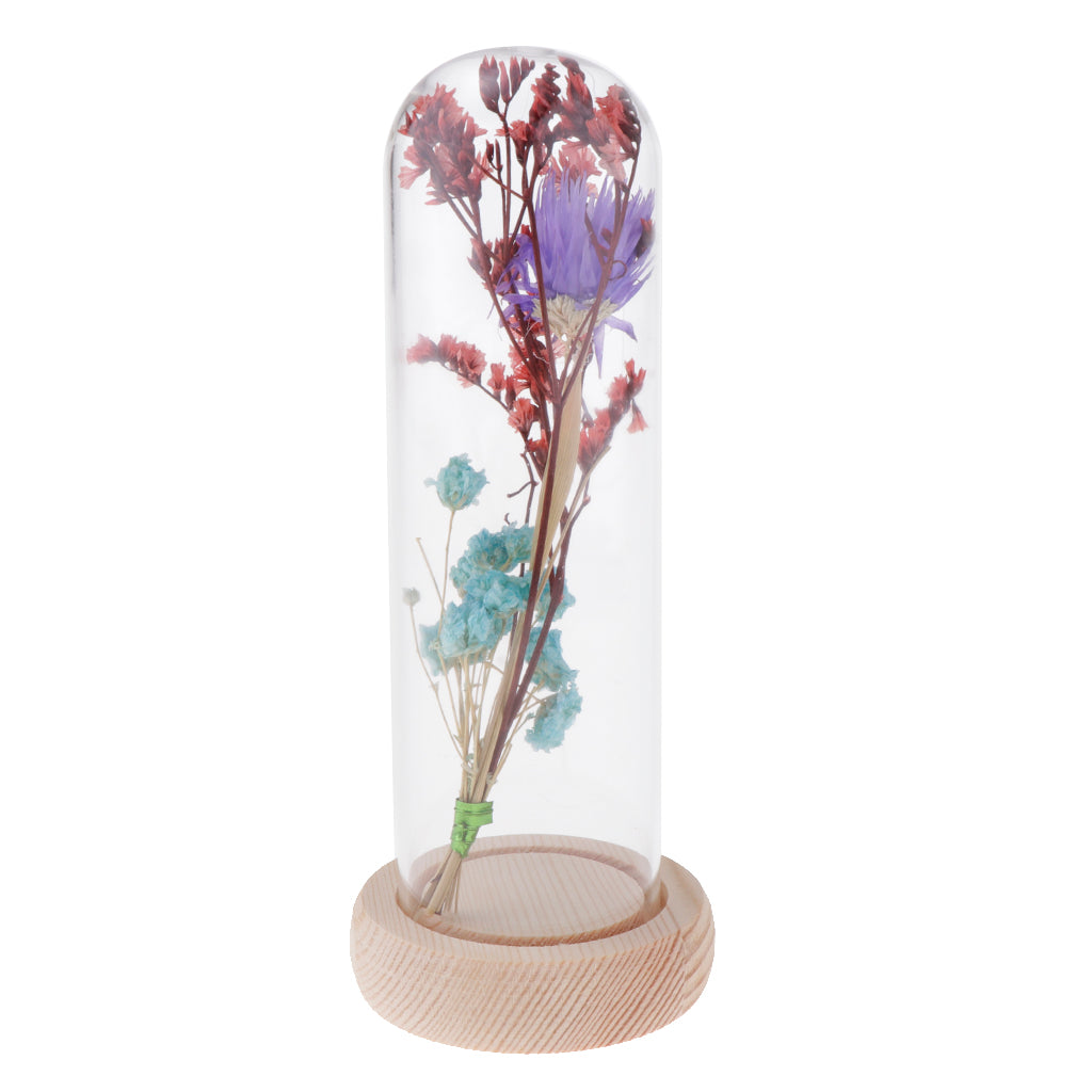 Glass Display Jar Dome Flower Immortal Preservation Vase Purple + Light Blue