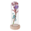 Glass Display Jar Dome Flower Immortal Preservation Vase Purple + Light Blue