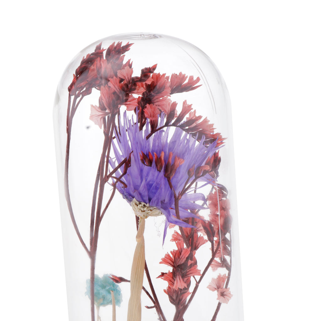 Glass Display Jar Dome Flower Immortal Preservation Vase Purple + Light Blue