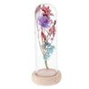 Glass Display Jar Dome Flower Immortal Preservation Vase Purple + Light Blue