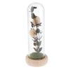 Artificial Flowers in Glass Dome on a Wooden Base for Home Decor White