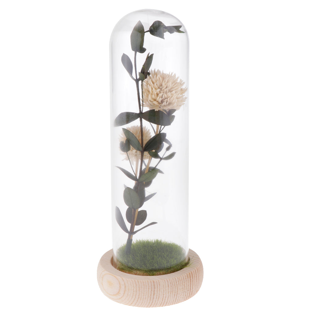 Artificial Flowers in Glass Dome on a Wooden Base for Home Decor White