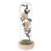 Artificial Flowers in Glass Dome on a Wooden Base for Home Decor White