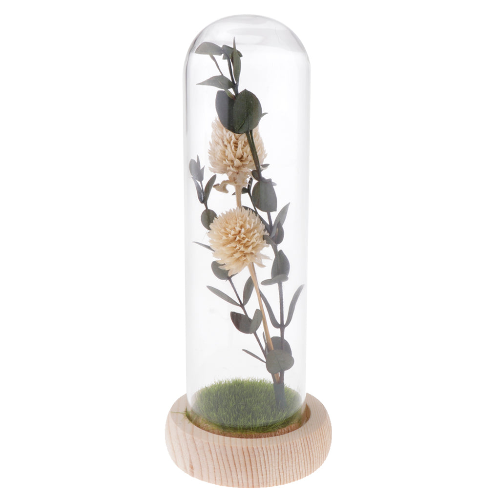 Artificial Flowers in Glass Dome on a Wooden Base for Home Decor White