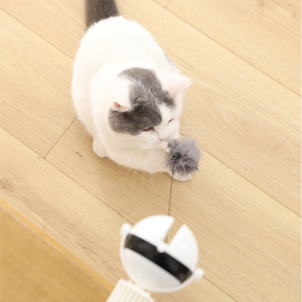 2 in 1 Automatic Rotating Pet Cat Kitten Play Toy Chaser Interactive Toy