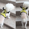 Nylon Small Pet Dog Harness Vest For Pet Walking Outdoor Outfits  M