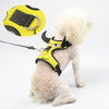 Nylon Small Pet Dog Harness Vest For Pet Walking Outdoor Outfits  M