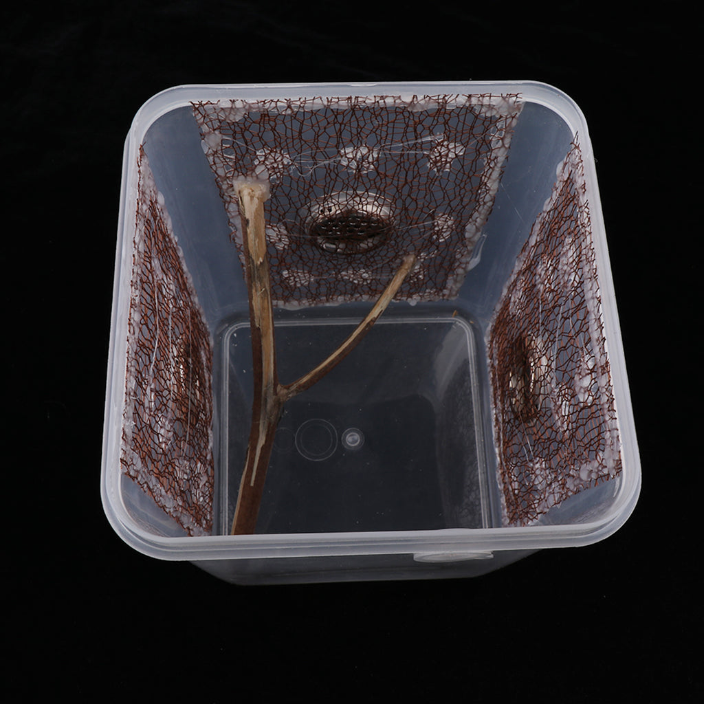 Reptile Spider Breeding Box Container Case Feeding Hatching Tank  3