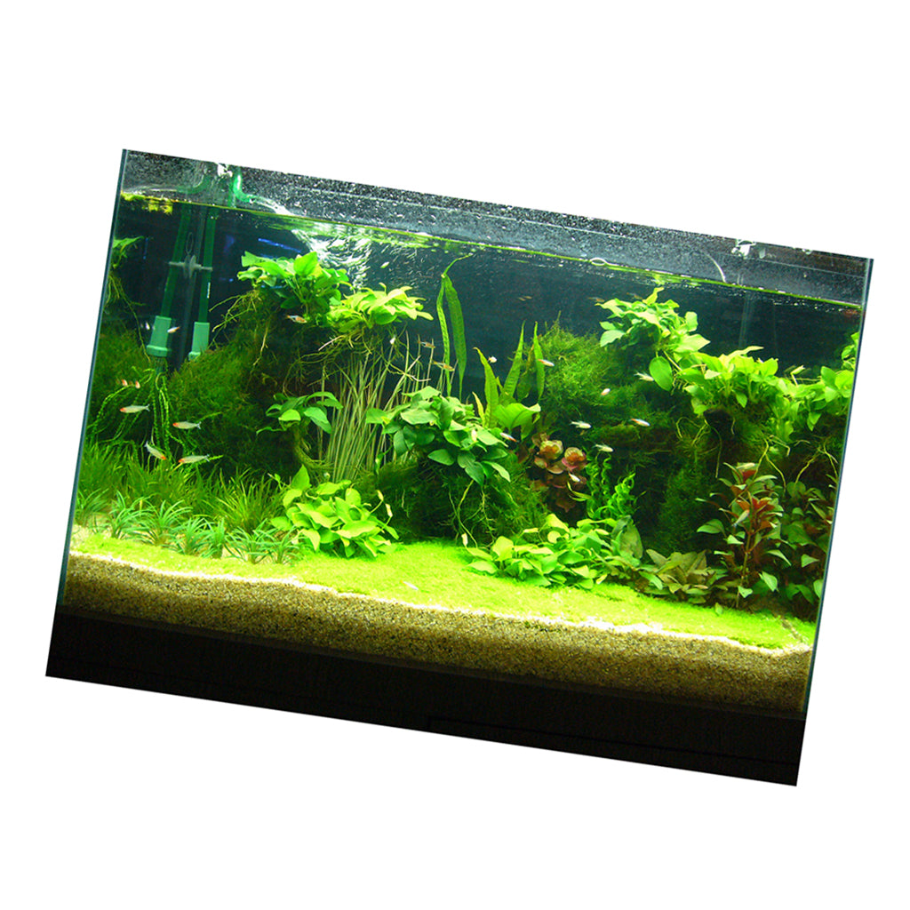 One Side Aquarium Background Poster Decoration Wallpaper Sticker 61x41cm