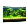 One Side Aquarium Background Poster Decoration Wallpaper Sticker 61x41cm