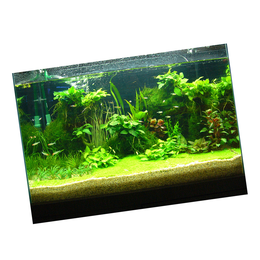 One Side Aquarium Background Poster Decoration Wallpaper Sticker 61x41cm