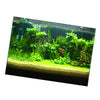 One Side Aquarium Background Poster Decoration Wallpaper Sticker  61x30cm