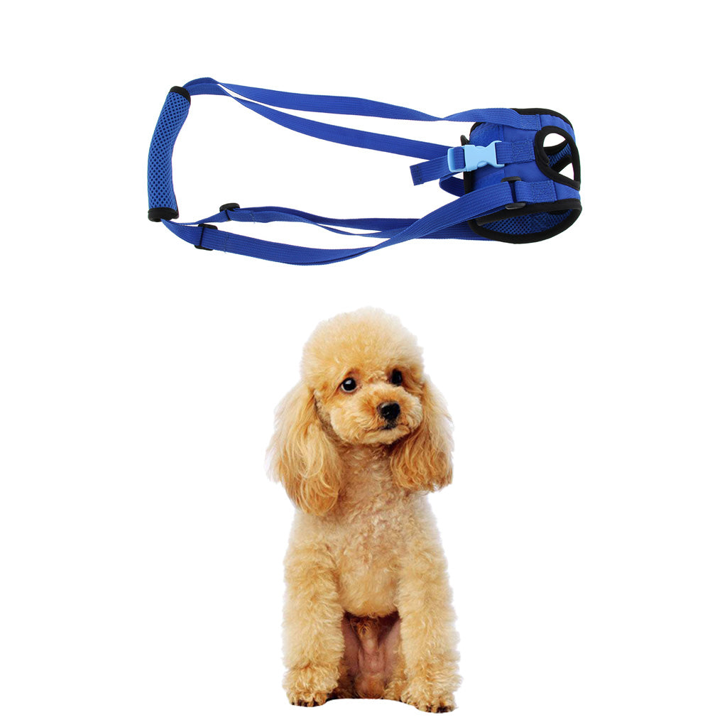 Dog Lifting Harness Rear Dog Support Rehabilitation Sling for Old Dog M