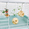 2x Parrot Supplies Bird Hamster Bite Chew Wood Ball Toys Gnawing Toy