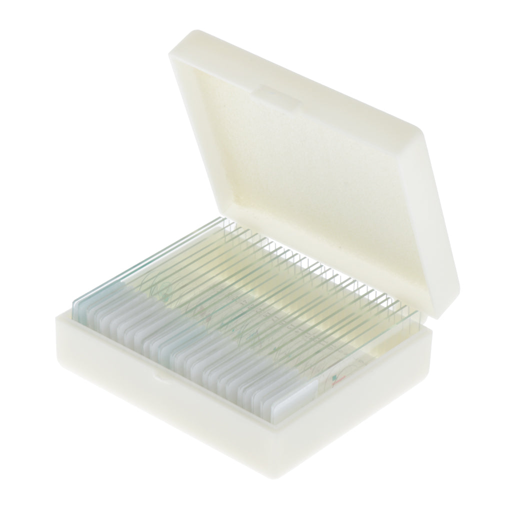25pcs Prepared Glass Microscope Slide with Labels Insect Biological Specimen