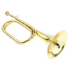 Students Brass Trumpet Brass Instrument