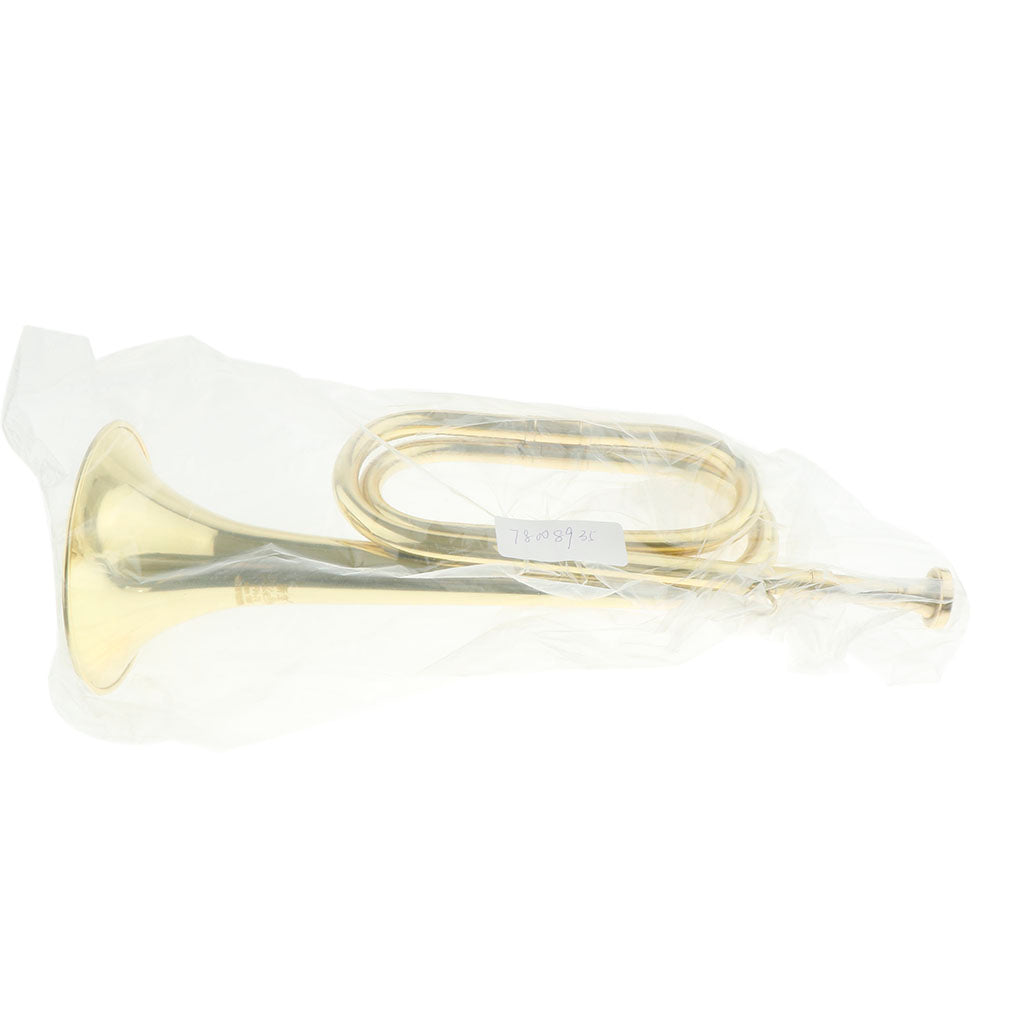 Students Brass Trumpet Brass Instrument