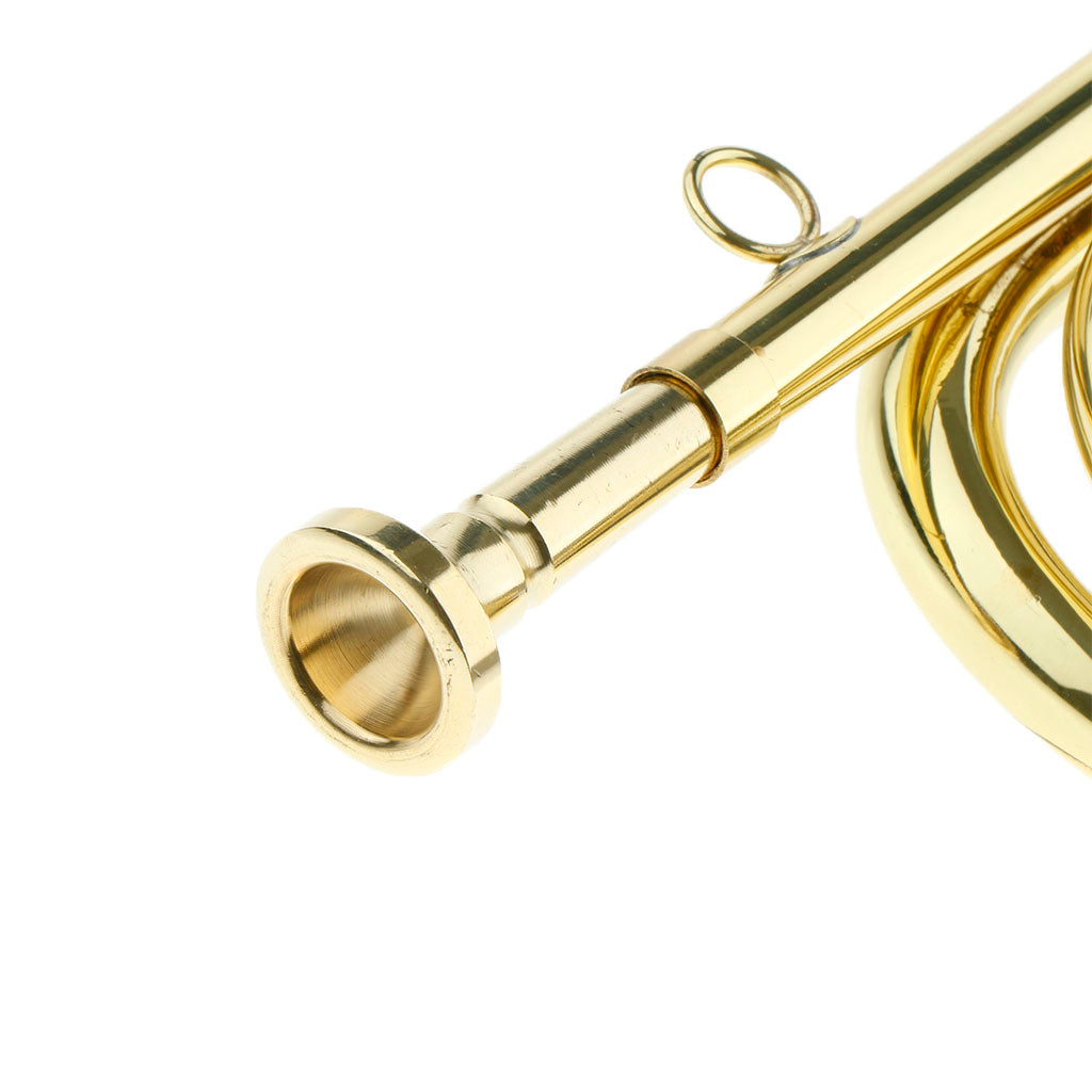 Students Brass Trumpet Brass Instrument