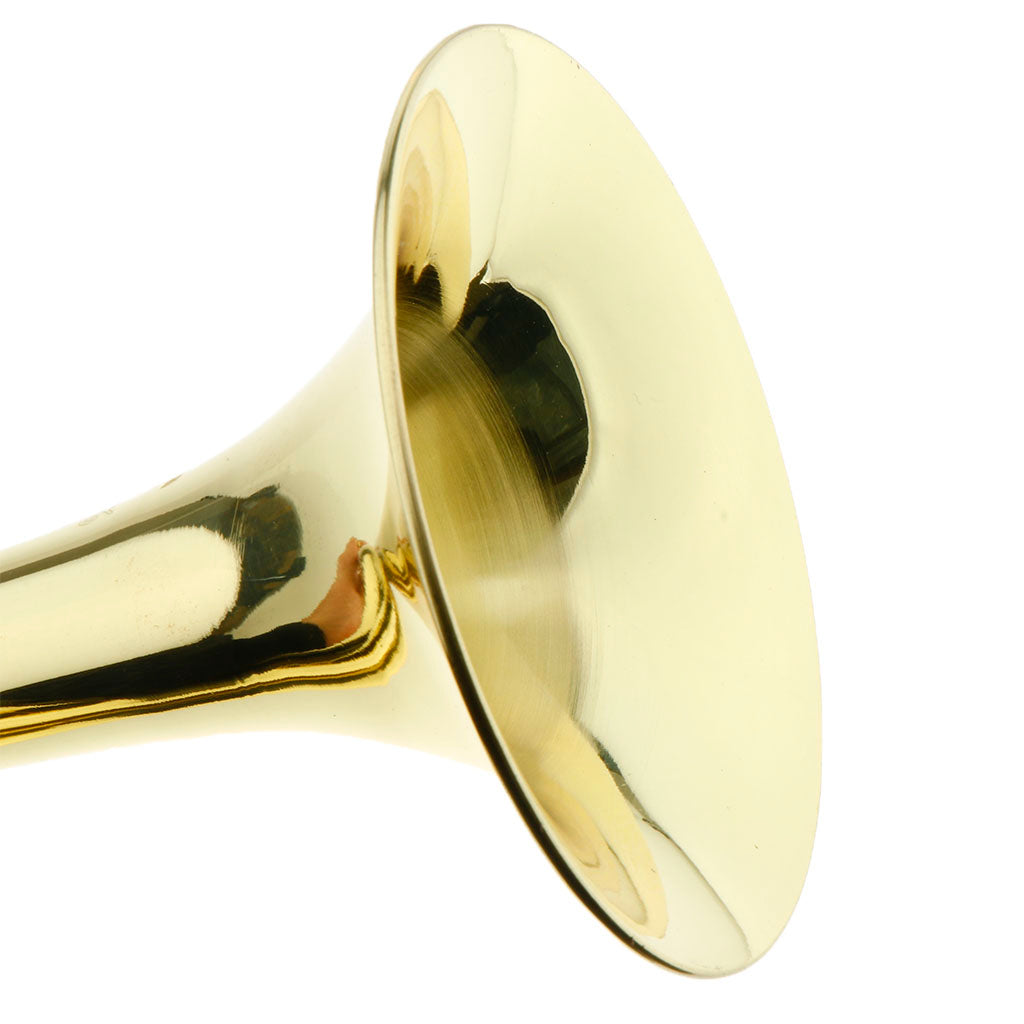 Students Brass Trumpet Brass Instrument