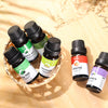 6Pcs/Set 10ml Natural Plant Massage Fragrance Aromatherapy Essential Oils