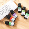 6Pcs/Set 10ml Natural Plant Massage Fragrance Aromatherapy Essential Oils