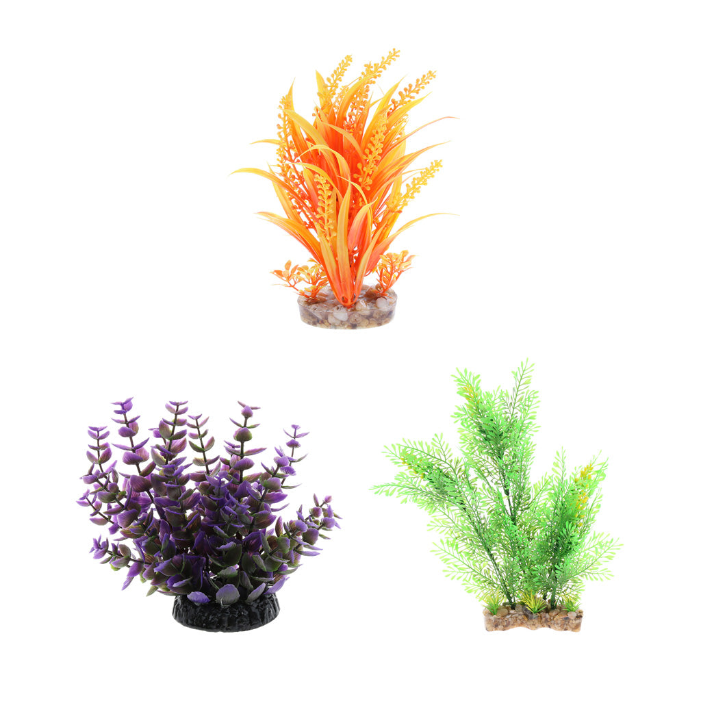 Aquarium Reptile Simulation Water Grass Landscaping Plant Orange Yellow