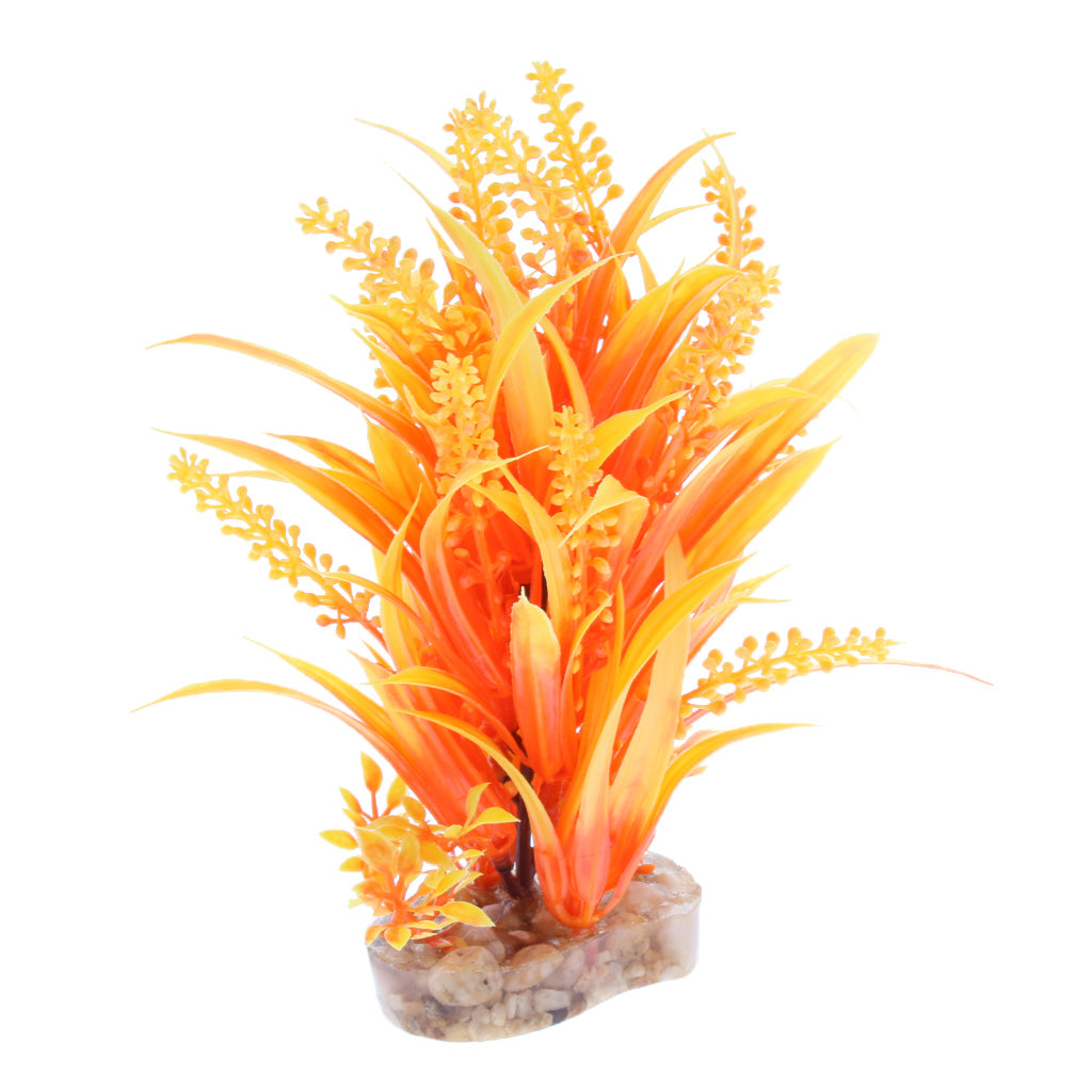 Aquarium Reptile Simulation Water Grass Landscaping Plant Orange Yellow