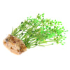 2Pcs Aquarium Reptile Artificial Water Grass Landscape Decoration Green