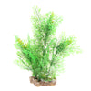 Aquarium Reptile Simulation Water Grass Landscaping Plant Green