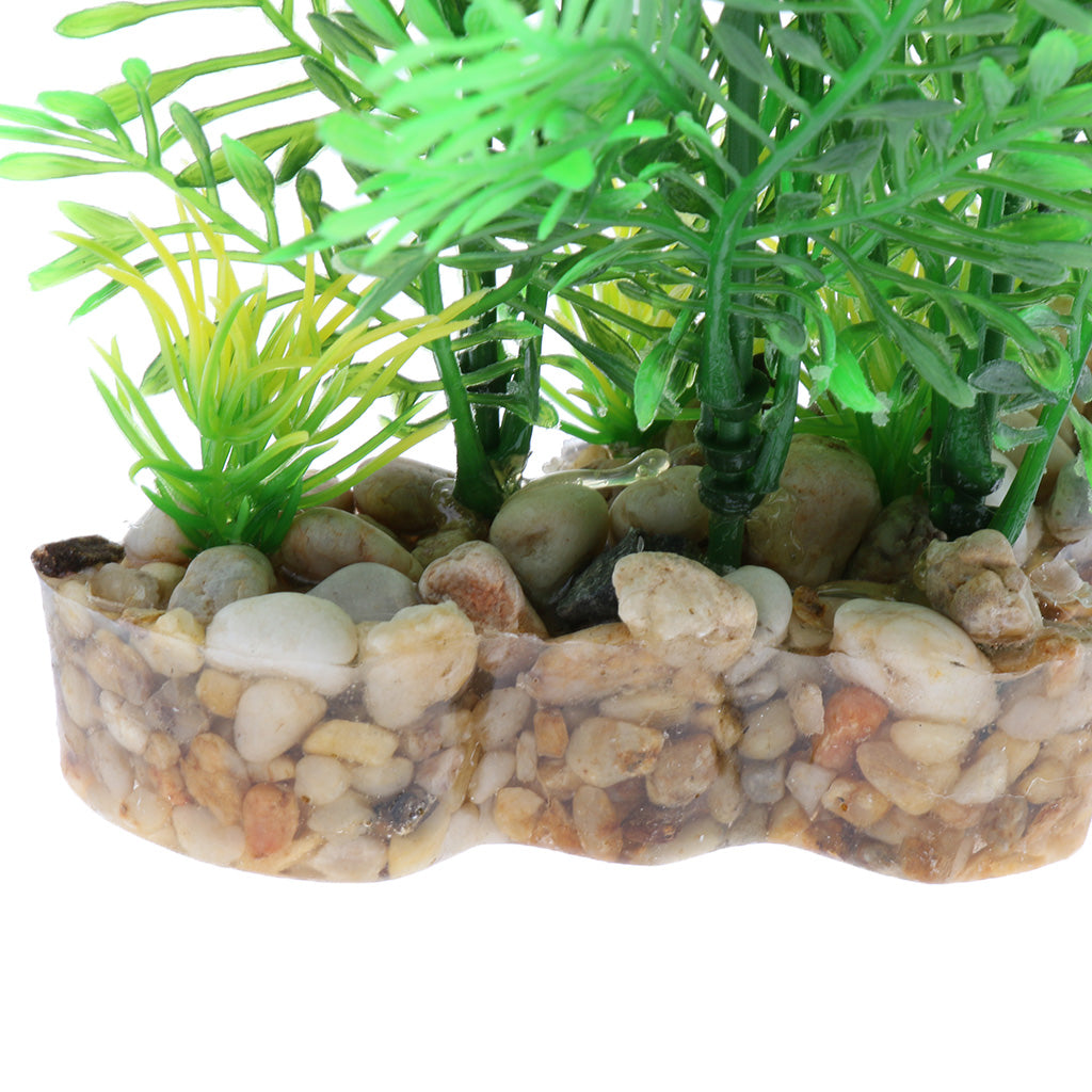 Aquarium Reptile Simulation Water Grass Landscaping Plant Green