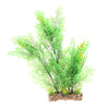 Aquarium Reptile Simulation Water Grass Landscaping Plant Green