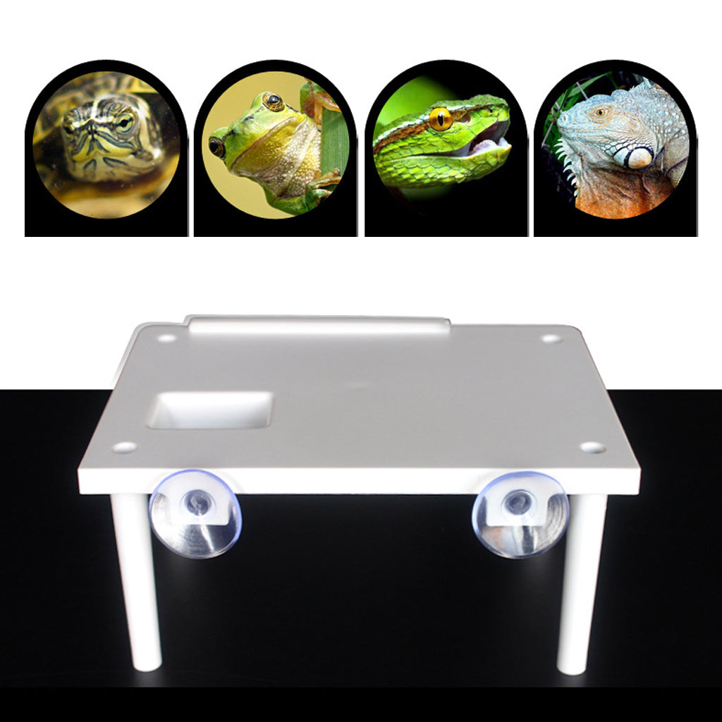 Aquarium Reptile Turtle Basking Platform Floating Island Climbing Ramp